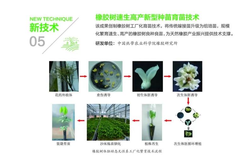 中国热带农业科学院发布十三五十大转化技术成果和十大科技品牌产品